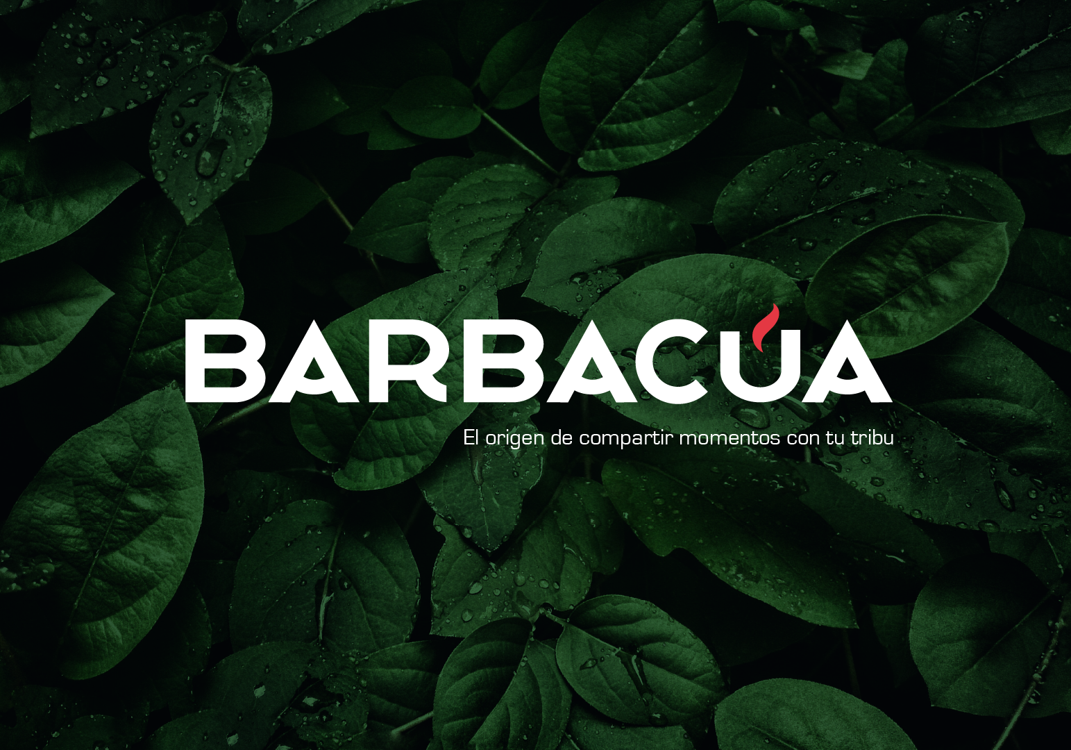 ServiGoal tenía ganas de meterse en el mundo de las barbacoas Kamado, esas maravillas de origen japonés que se han hecho un hueco en los patios de Sudamérica y en los jardines nórdicos. Así que nos llamaron para darle vida a una nueva marca que capturara toda esa esencia.