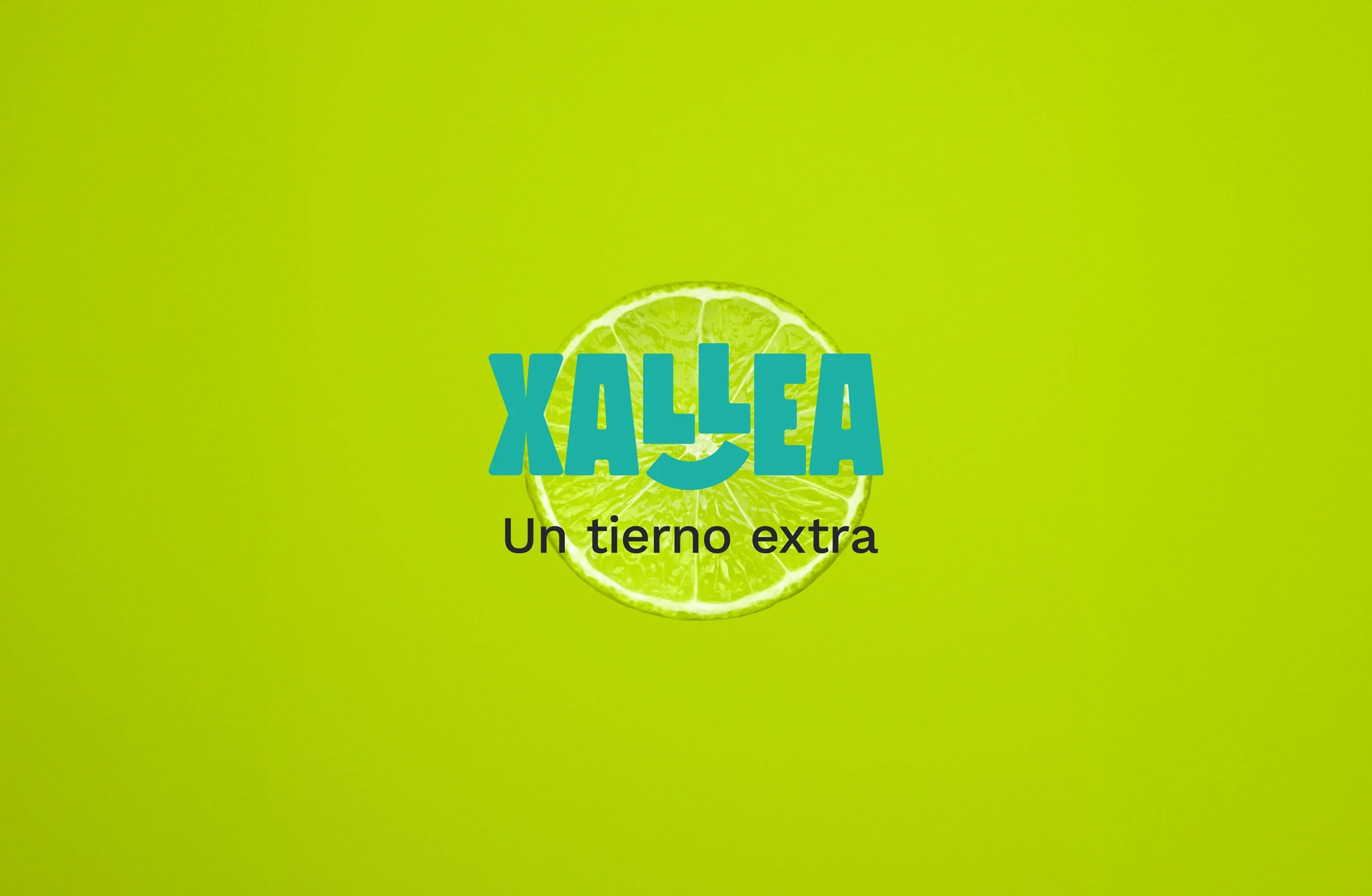 CABECERA XALLEA copia